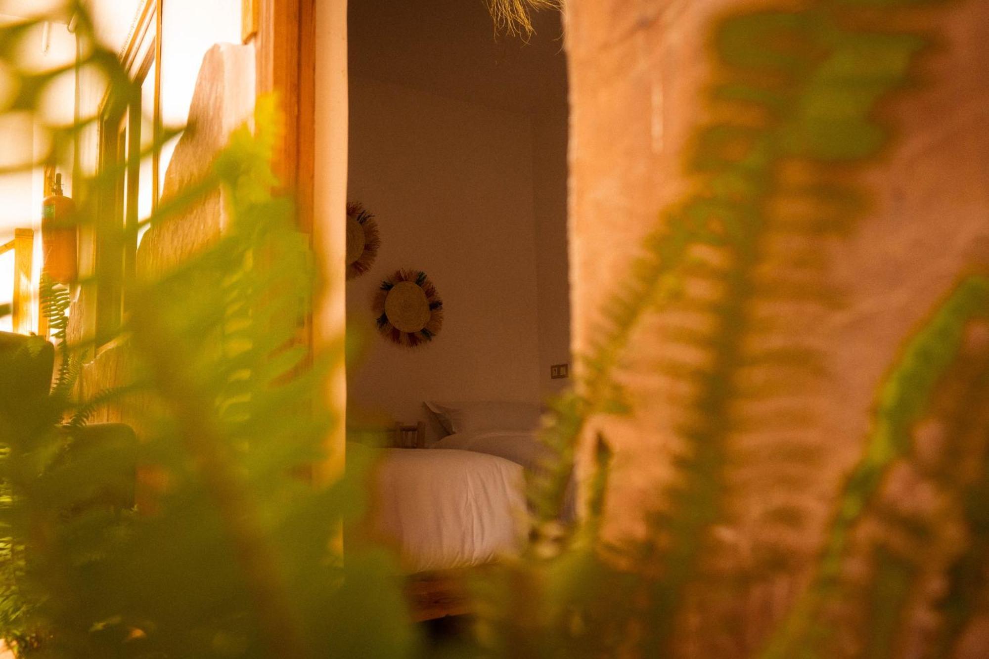 Single Fin Taghazout Surf & Stay 外观 照片